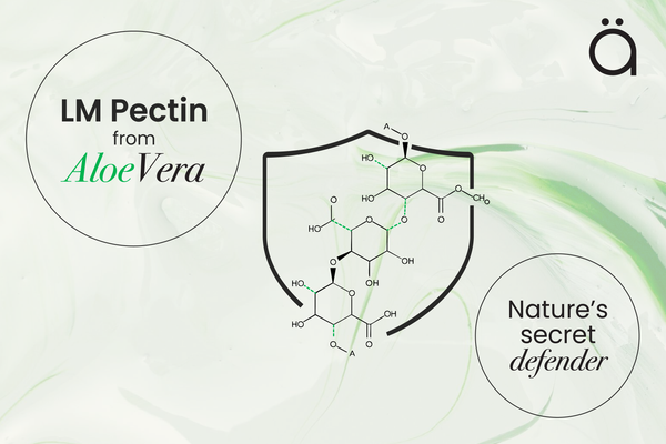 Nature’s Secret Defender: LM Pectin from Aloe Vera