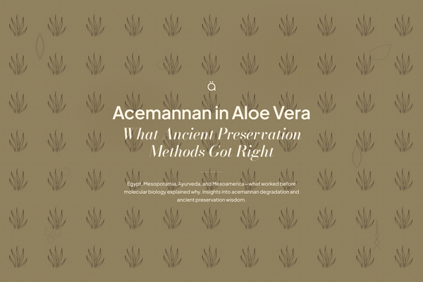 Acemannan in Aloe Vera: What Ancient Preservation Methods Got Right