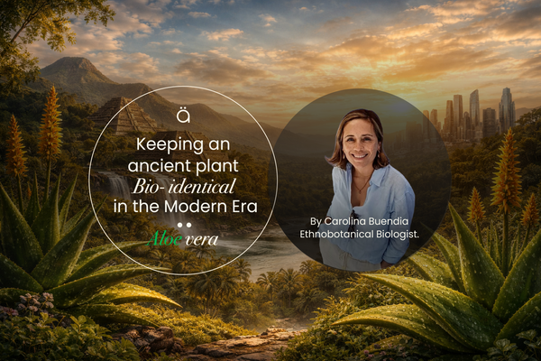 Keeping an Ancient Plant Bioidentical in the Modern Era: Aloe Vera