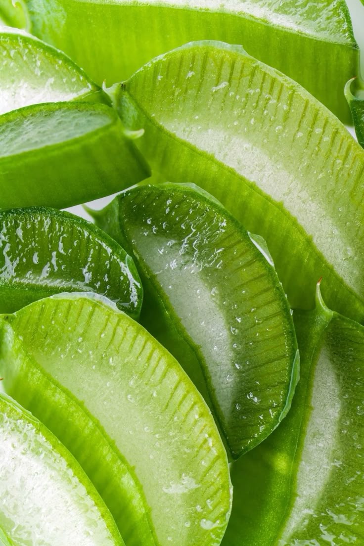 Fresh aloe vera inner-leaf slices