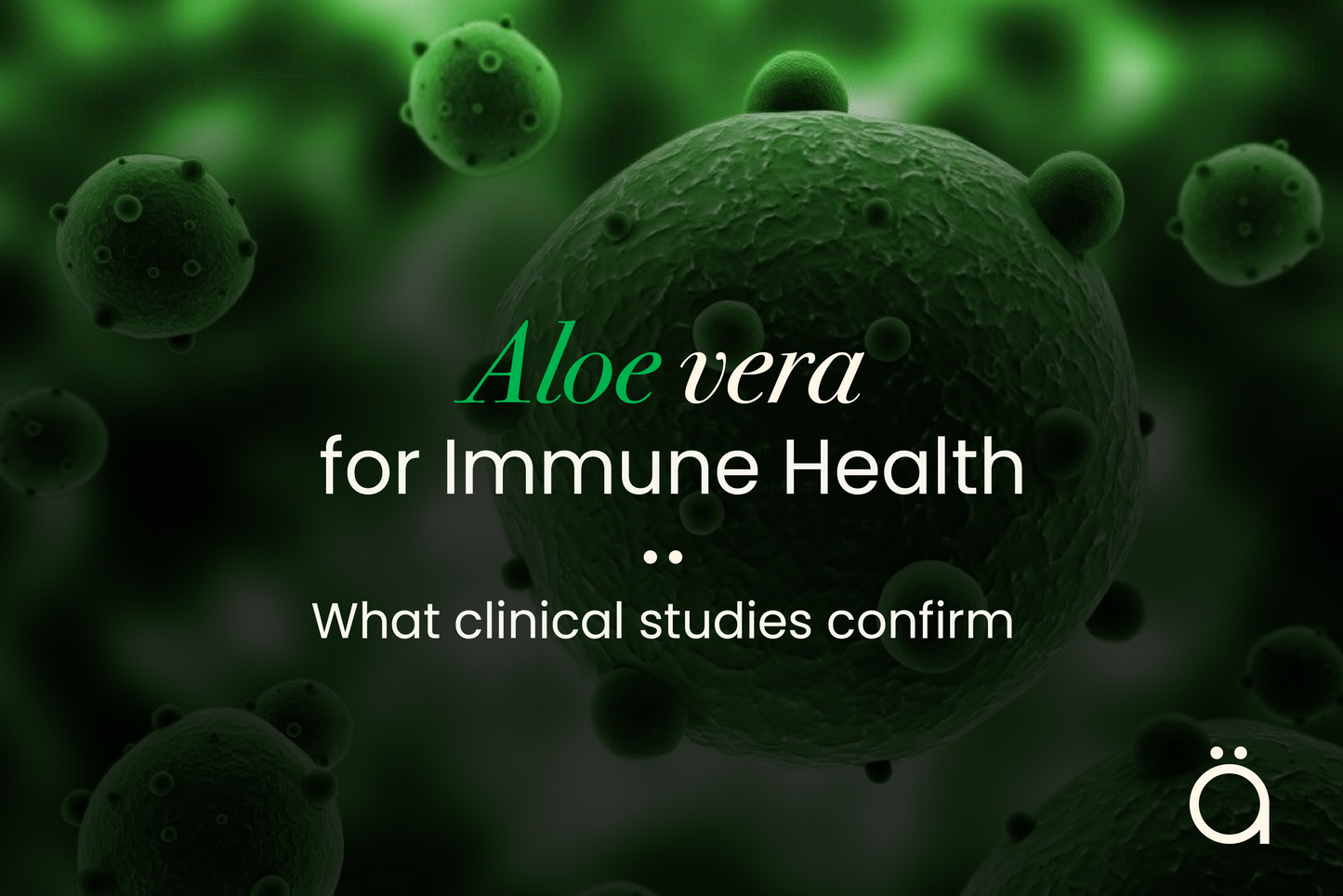 Aloe Vera for Immune Health: What Clinical Studies Confirm