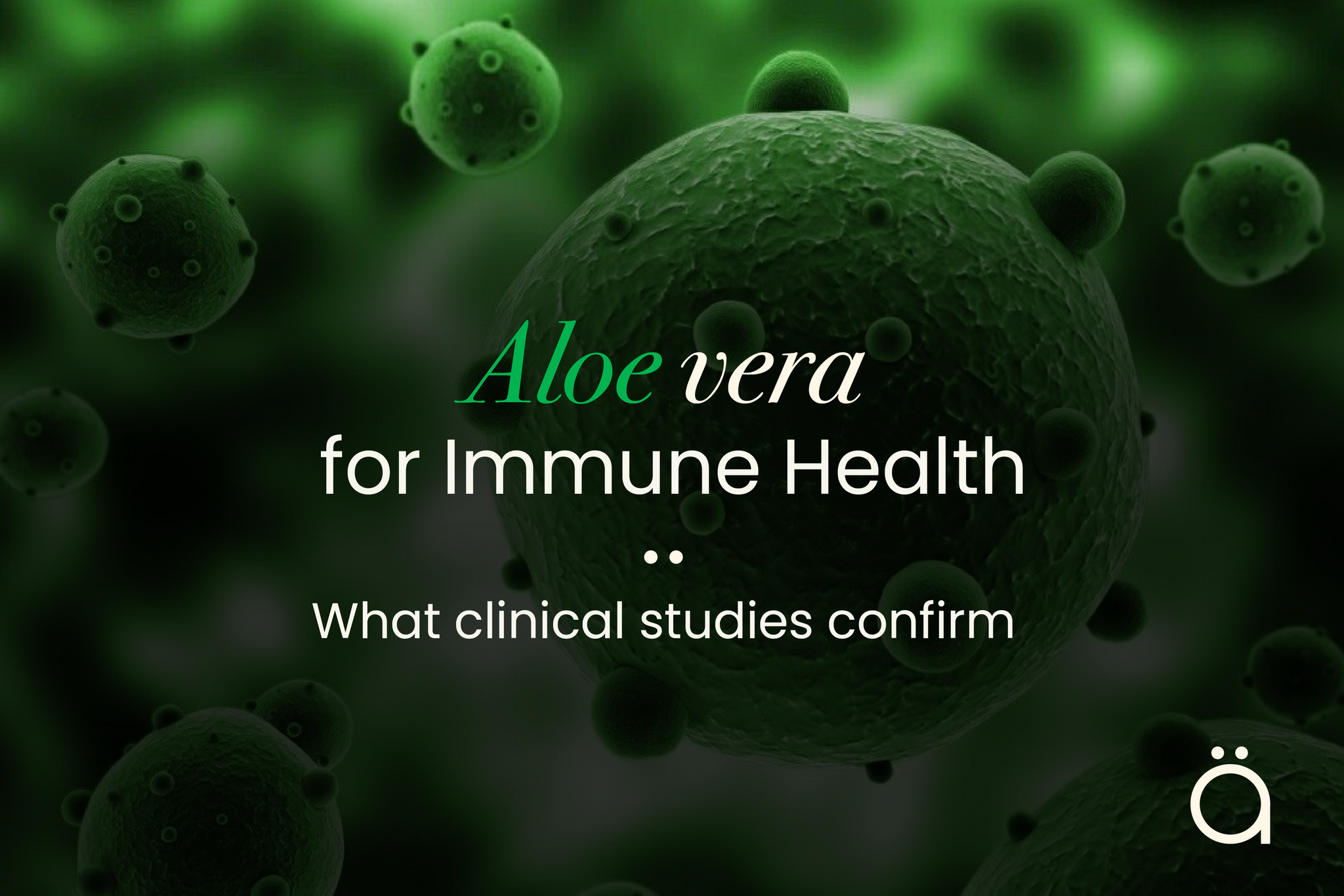 Aloe Vera for Immune Health: What Clinical Studies Confirm