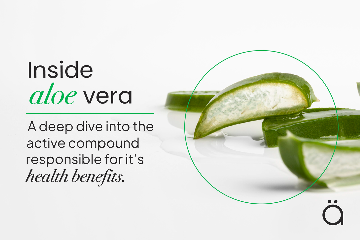 Inside Aloe Vera: The Compounds That Make (or Break) It