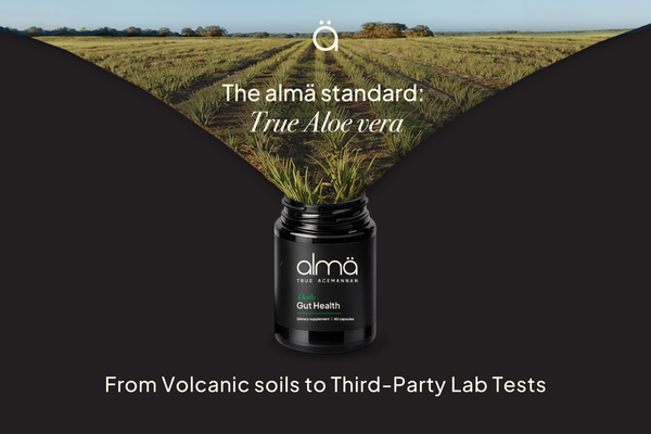 The almä Standard: True Aloe Vera, From Volcanic Soils to Third-Party Lab Tests