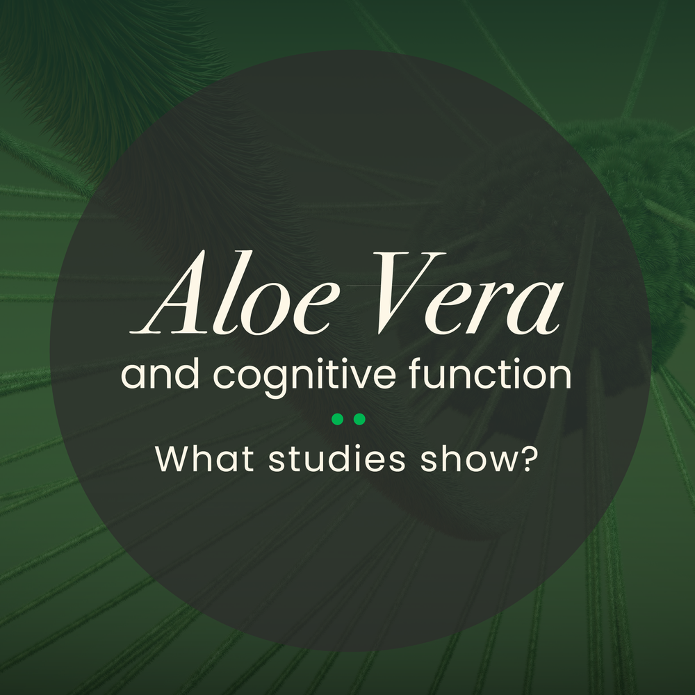 Aloe Vera's Potential to Support Brain Function, Memory, & Cognition