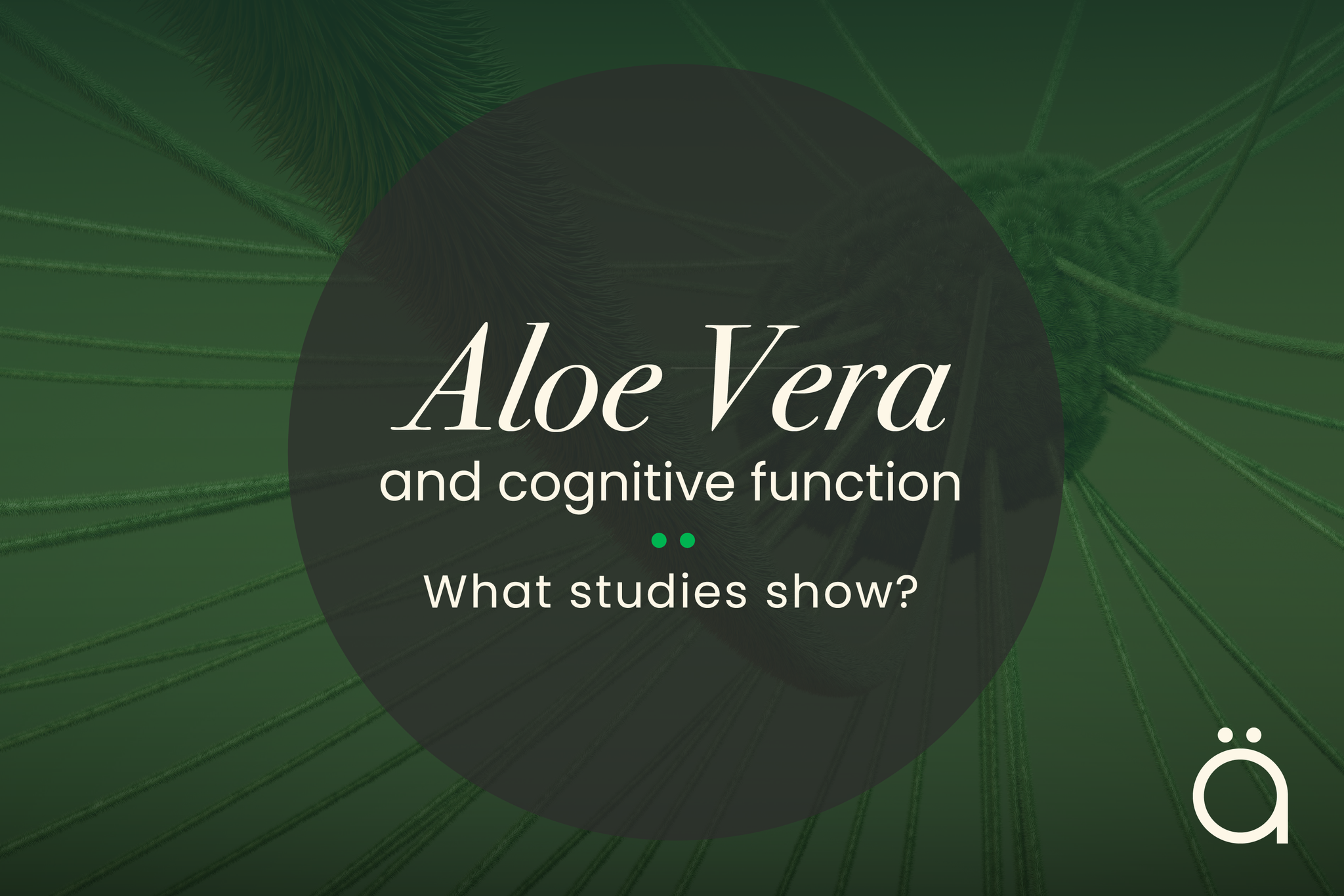 Aloe Vera's Potential for Brain Health and Cognitive Support
