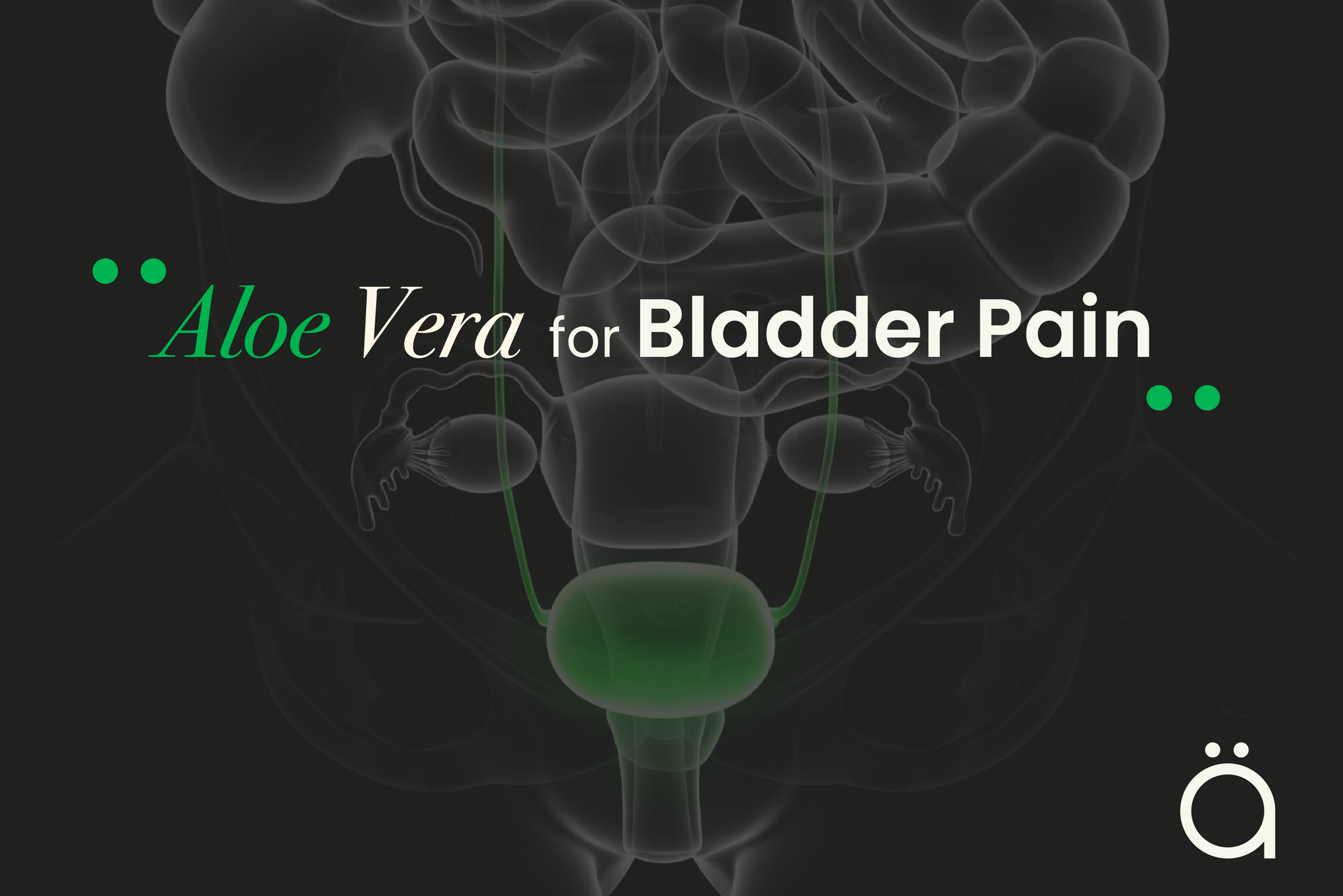 Interstitial Cystitis (IC) & Aloe Vera: What Research Suggests