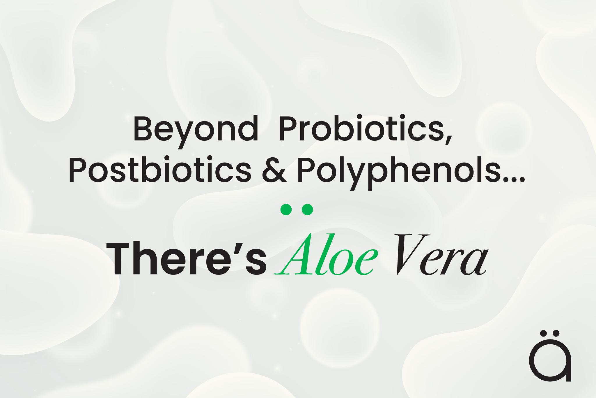 Aloe Vera vs. Prebiotics, Postbiotics, and Polyphenols: The Gut Health Evolution