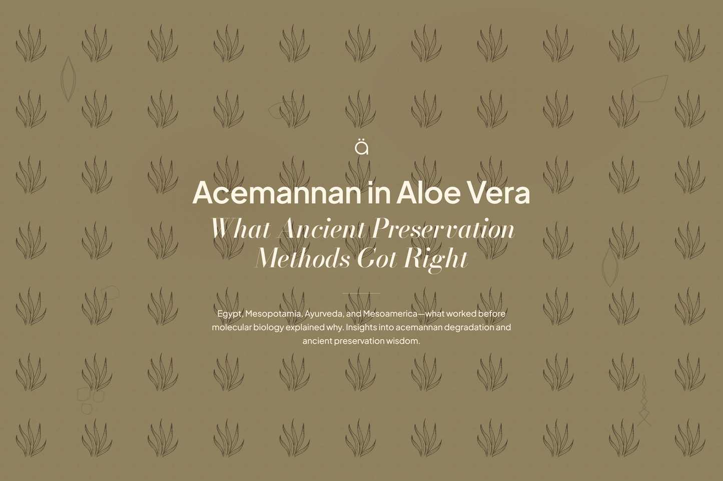 Acemannan in Aloe Vera: What Ancient Preservation Methods Got Right