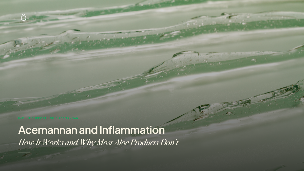 Acemannan and Inflammation: How It Works and Why Most Aloe Products Don't