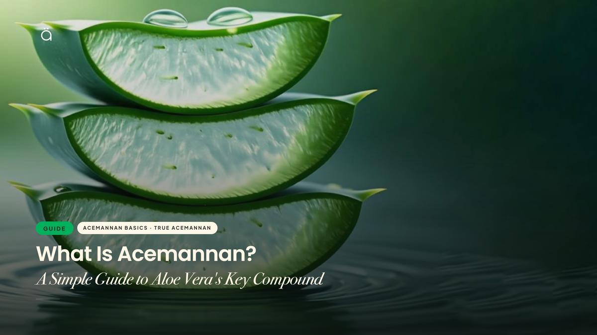 What Is Acemannan? A Simple Guide to Aloe Vera's Key Compound