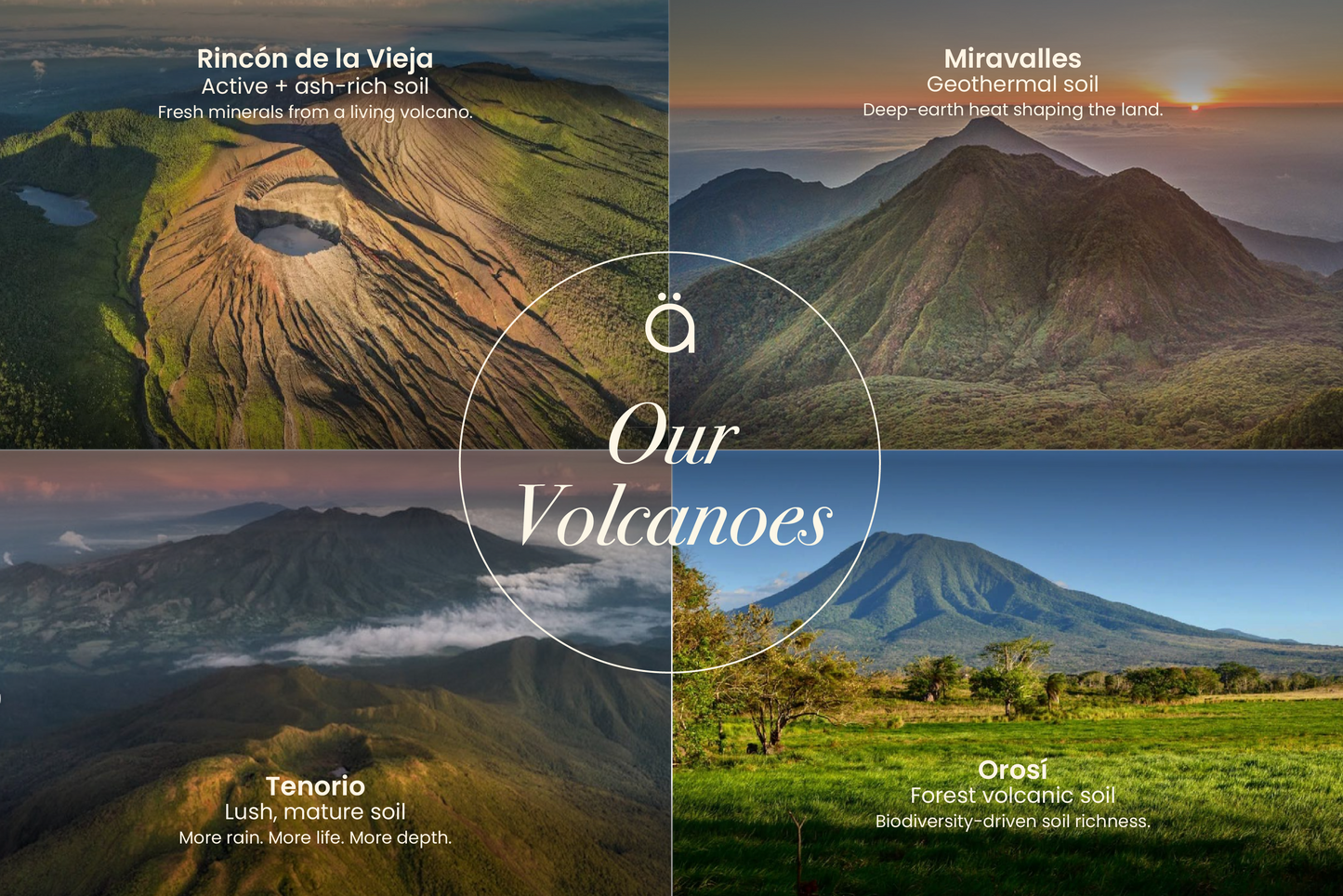 Volcanic Soil and Aloe Vera