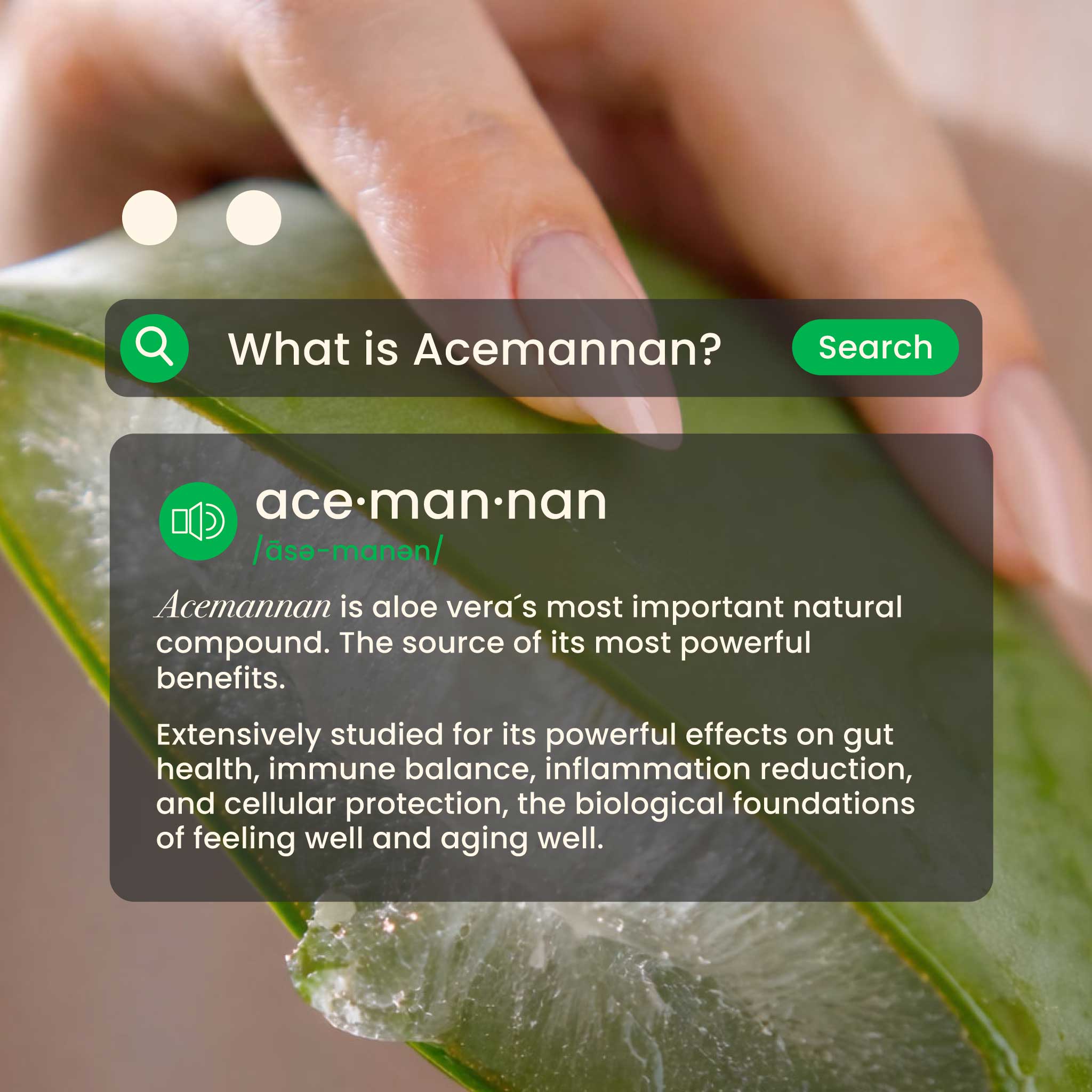 True Acemannan Aloe Vera Capsules - Backed by Science | ALMA TRUE ...