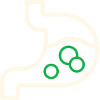 Stomach icon