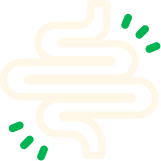 Intestines icon